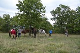 sentieri della memoria rapino 2015 foto 169