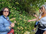 Pic Nic al fiume Rapino 2026 foto 26