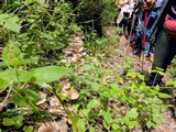 Pic Nic al fiume Rapino 2026 foto 69